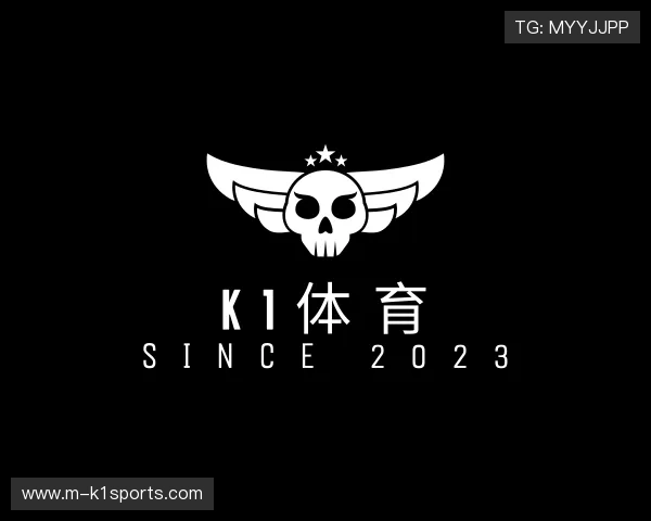 关于k1体育公司
